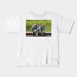 Baby Barn Swallows waiting to be fed Kids T-Shirt